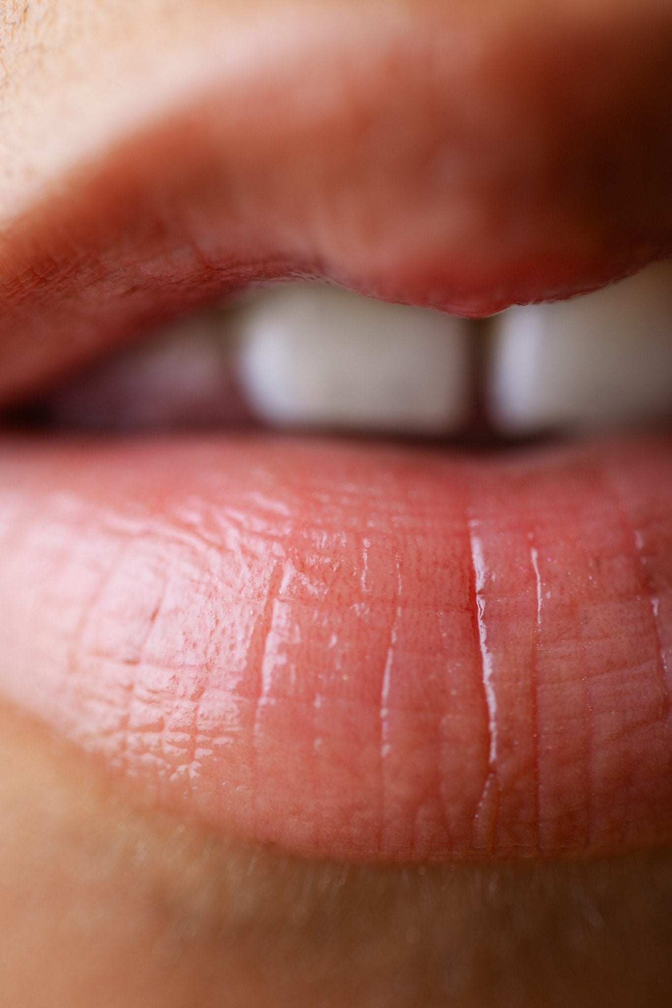 Baume Lèvres Nourrissant